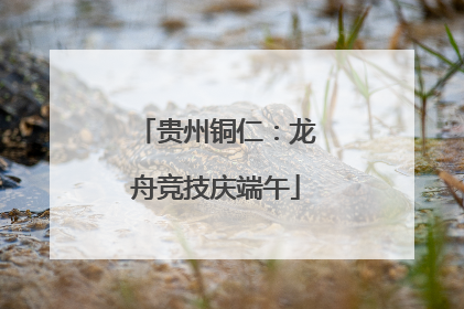 贵州铜仁：龙舟竞技庆端午